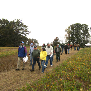 cold harbor tour